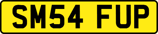 SM54FUP