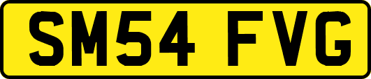 SM54FVG