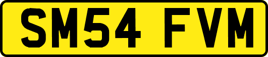 SM54FVM