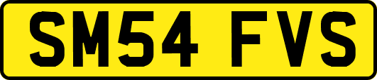 SM54FVS