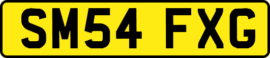 SM54FXG