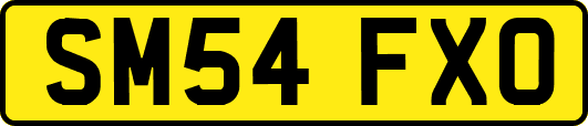 SM54FXO