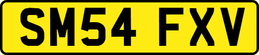 SM54FXV