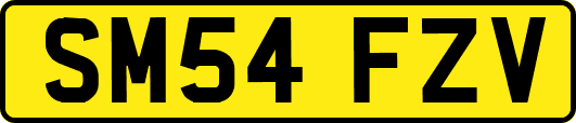 SM54FZV