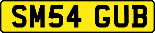 SM54GUB