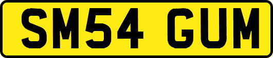 SM54GUM