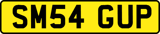 SM54GUP