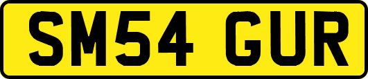 SM54GUR