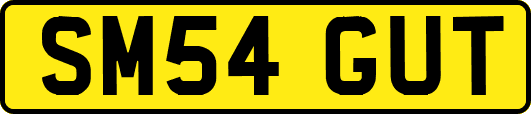SM54GUT