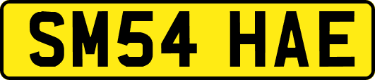 SM54HAE