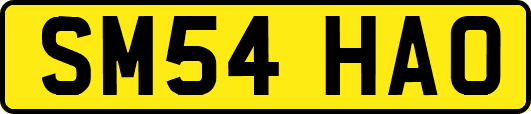 SM54HAO
