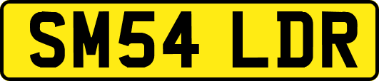 SM54LDR