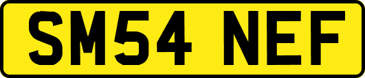 SM54NEF