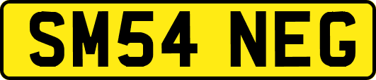 SM54NEG