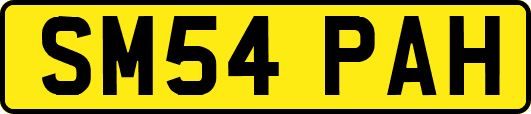SM54PAH