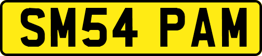 SM54PAM