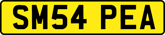 SM54PEA