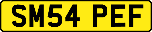 SM54PEF