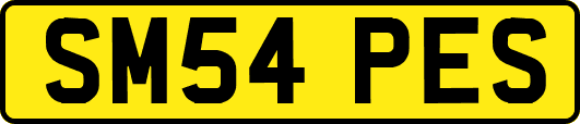 SM54PES
