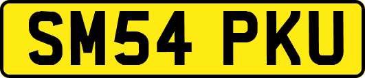 SM54PKU