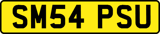 SM54PSU