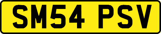 SM54PSV