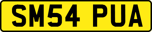 SM54PUA