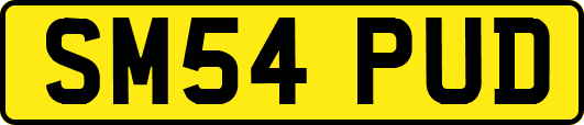 SM54PUD