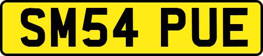 SM54PUE