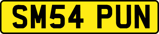 SM54PUN
