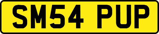 SM54PUP