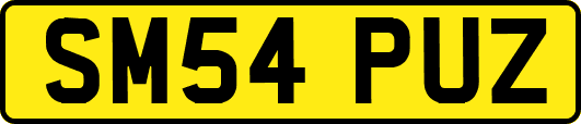 SM54PUZ