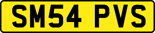 SM54PVS