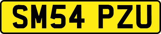 SM54PZU
