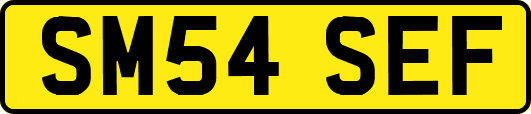 SM54SEF