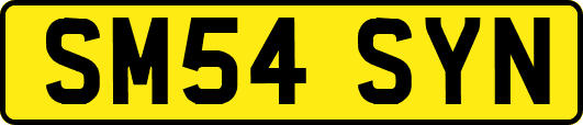 SM54SYN