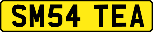SM54TEA