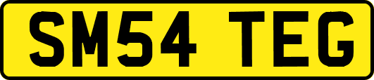 SM54TEG