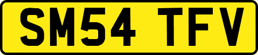 SM54TFV