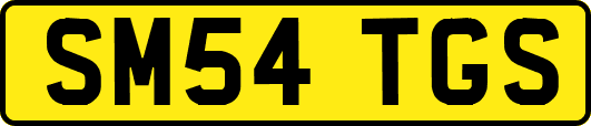 SM54TGS