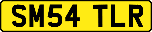SM54TLR