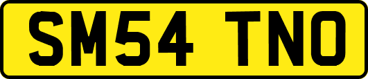 SM54TNO