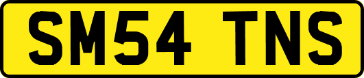 SM54TNS