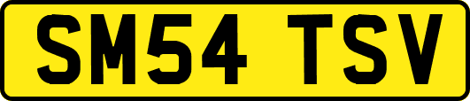 SM54TSV