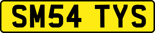 SM54TYS