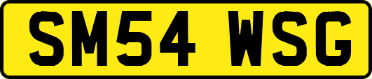 SM54WSG
