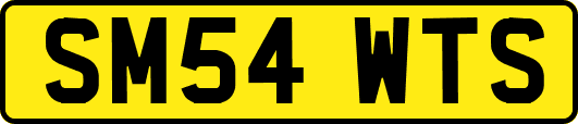 SM54WTS