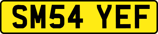 SM54YEF