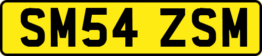 SM54ZSM