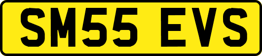 SM55EVS